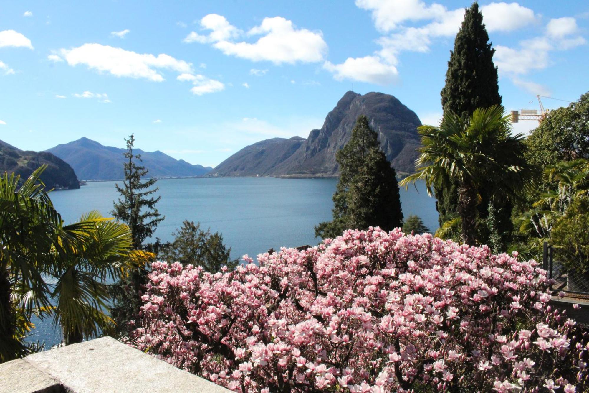 Barony Le Pergole Holiday Apartments Lugano Eksteriør bilde