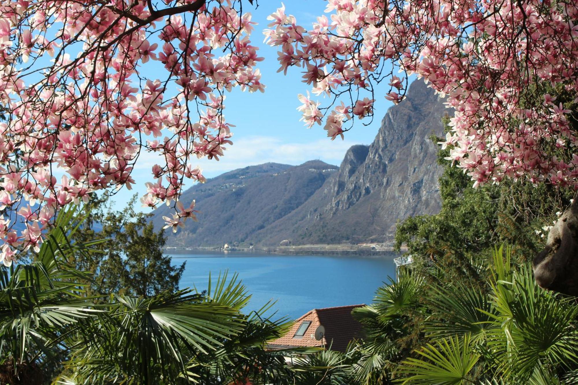 Barony Le Pergole Holiday Apartments Lugano Eksteriør bilde