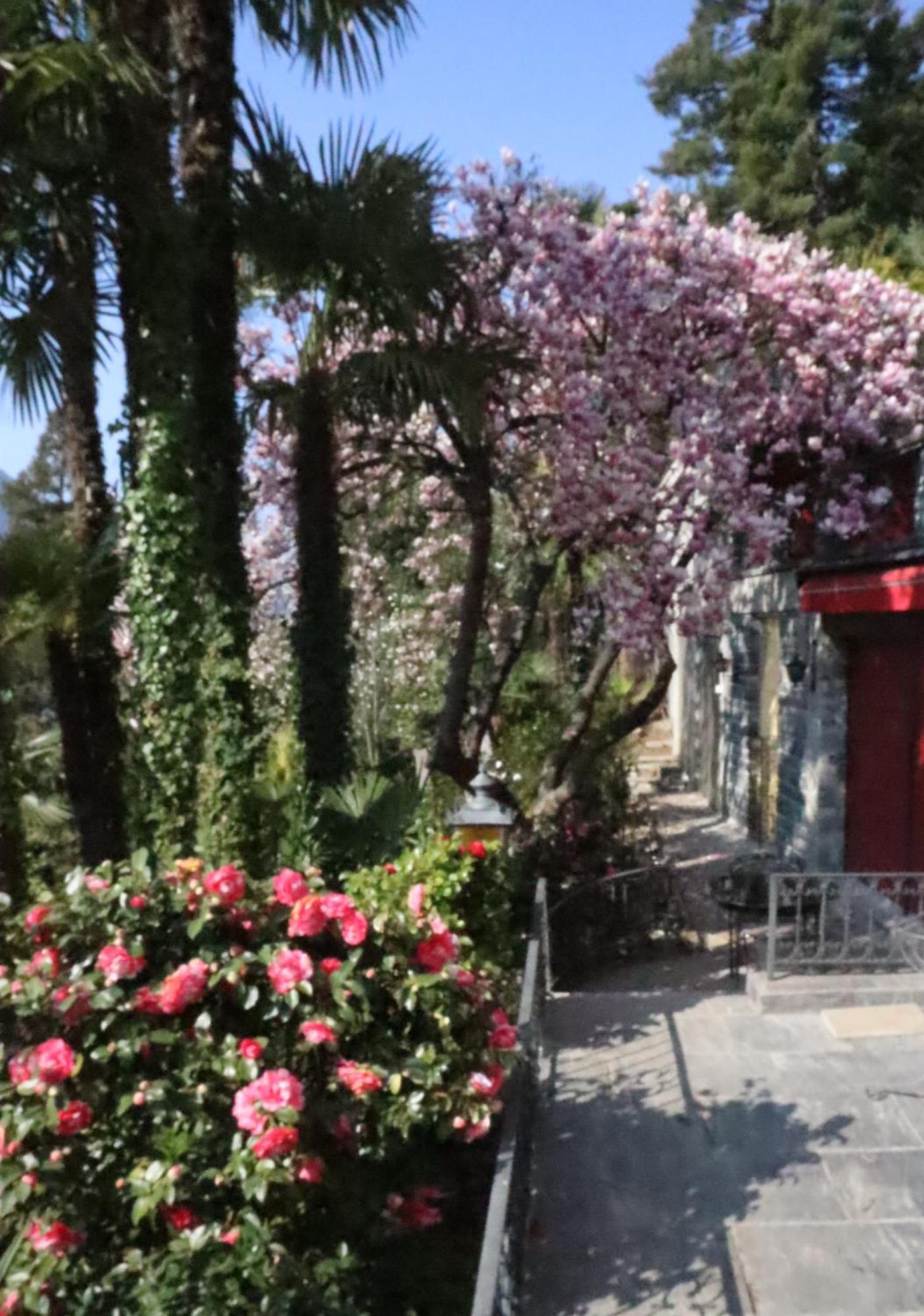 Barony Le Pergole Holiday Apartments Lugano Eksteriør bilde