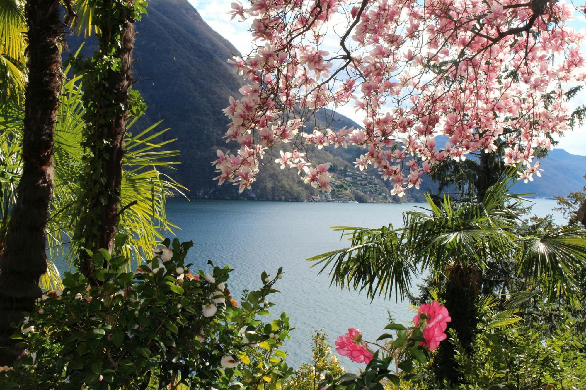 Barony Le Pergole Holiday Apartments Lugano Eksteriør bilde